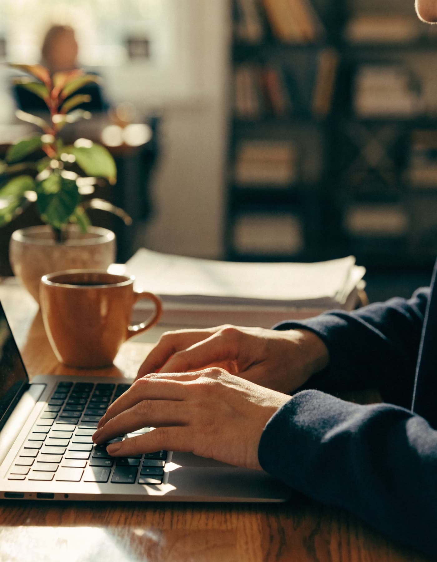 A person's hands typing on a laptop at a sunlit wooden desk, with a coffee mug, a small potted plant, and stacked papers, in front of softly blurred bookshelves